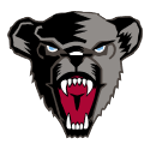 Maine Black Bears