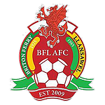 Briton Ferry