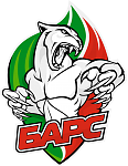 Bars Kazan